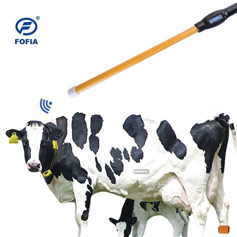 cow rfid tag placement|livestock rfid tag reader.